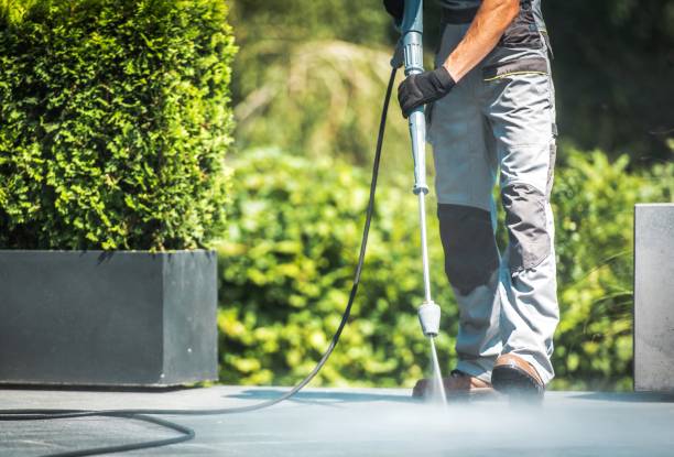 Best Deck and Patio Pressure Washing in Homestead Meadows South, TX