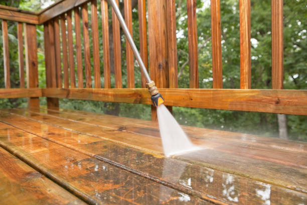 Best Gutter Cleaning and Brightening in Homestead Meadows South, TX